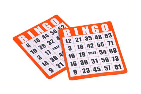 bingo meaning synonym|Bingo Definition & Meaning .